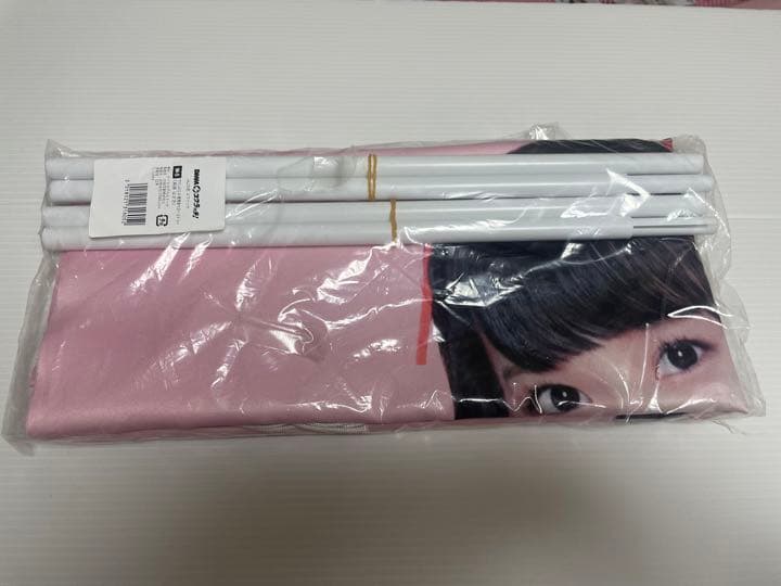 齊藤なぎさ　等身大タペストリー