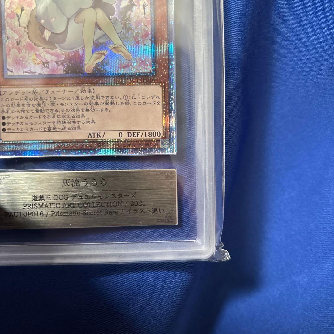 遊戯王 灰流うらら はるうらら 絵違い プリズマ プリシク