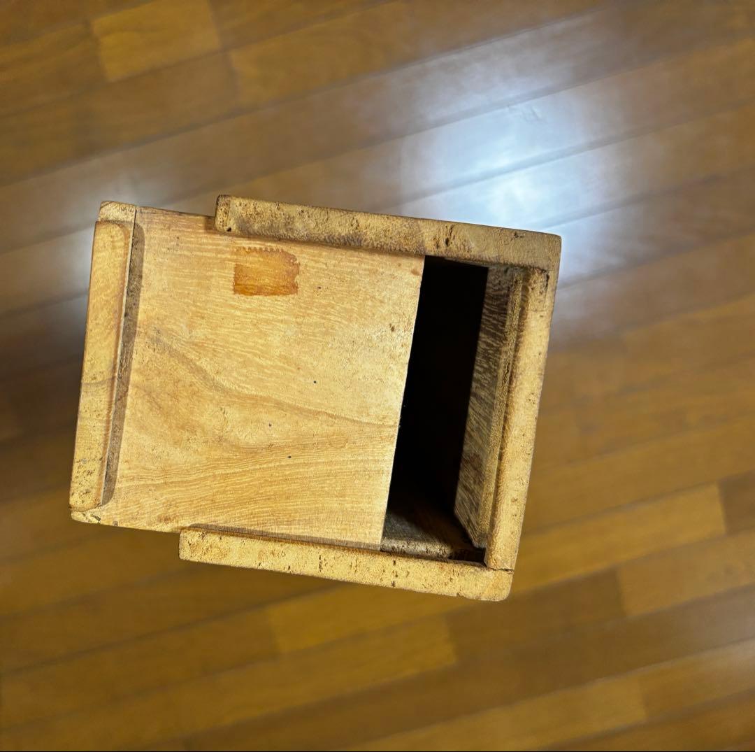 水墨画　掛軸　香遠 王画　中国　絵画　紅梅　梅　箱付　カラー