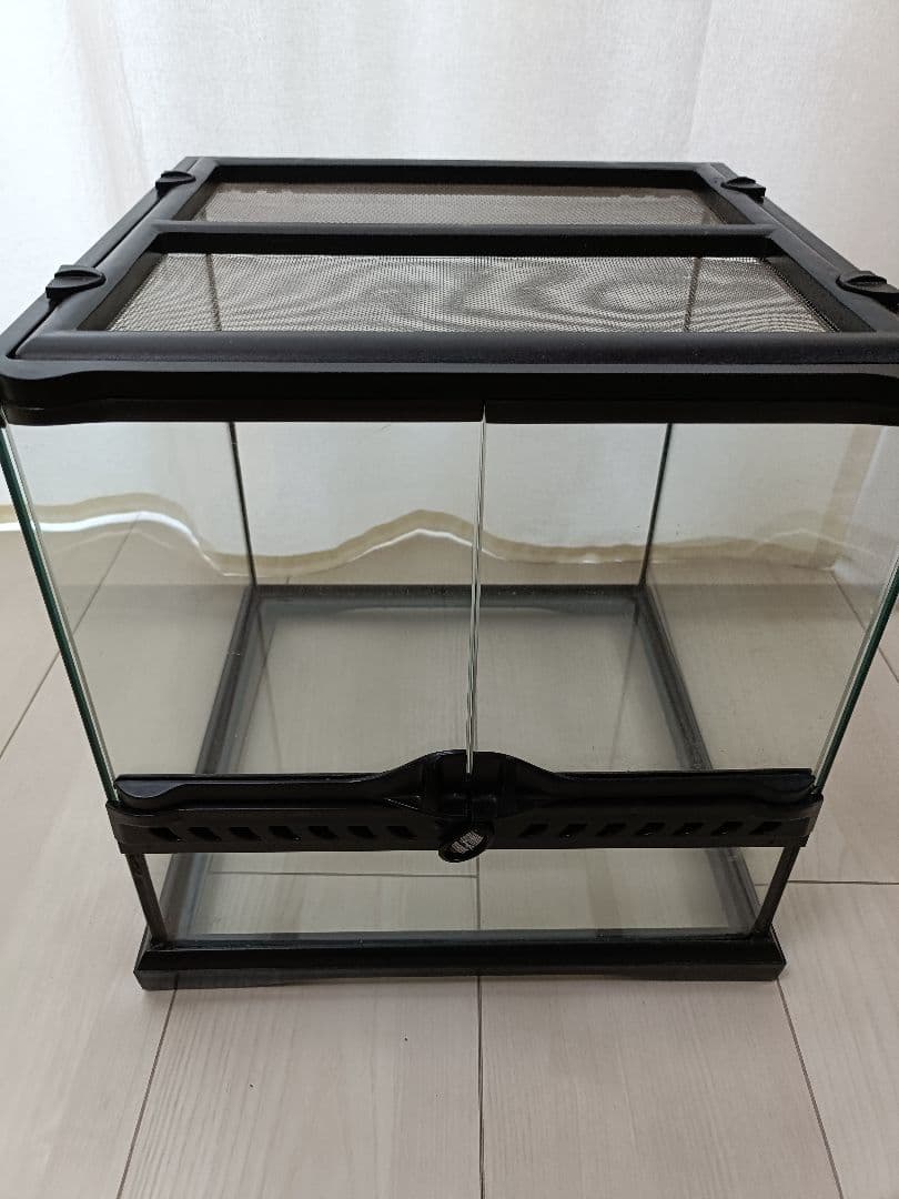 エネル様　ガラスケージ