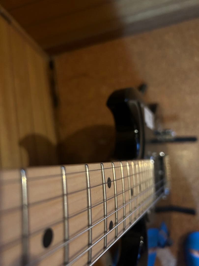 中古　レア！Bacchus BSG Hybrid + Tex-mex PU