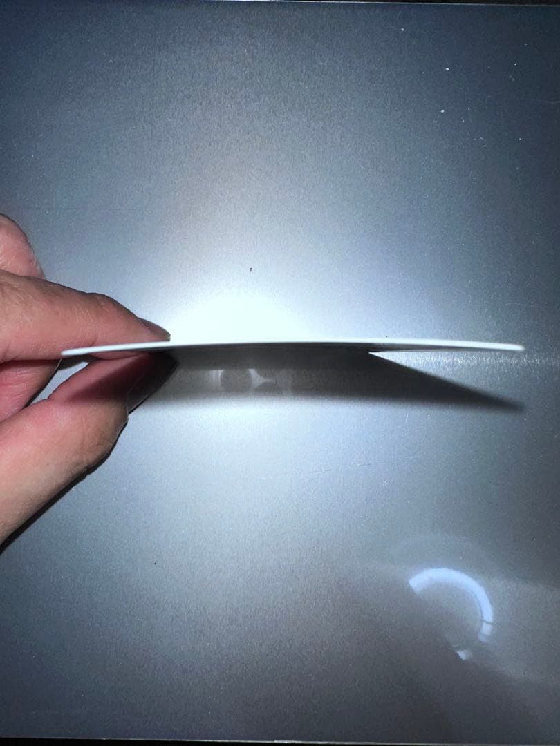 碇シンジ・真希波・マリ・イラストリアス