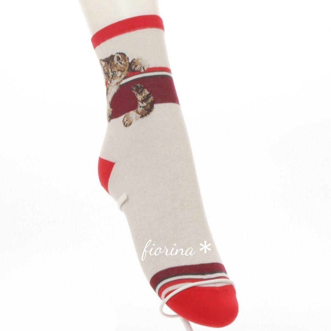 ポール&ジョー　ソックス　5足　ヌネット　猫　ネコ　ねこ　キジトラ　レア　希少