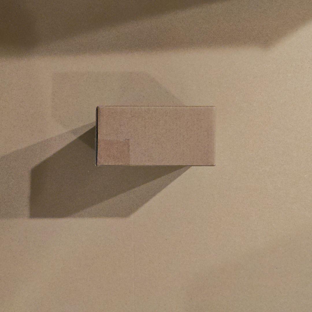 S.H.Figuarts 仮面ライダーカブト ハイパーフォーム 10th　新品