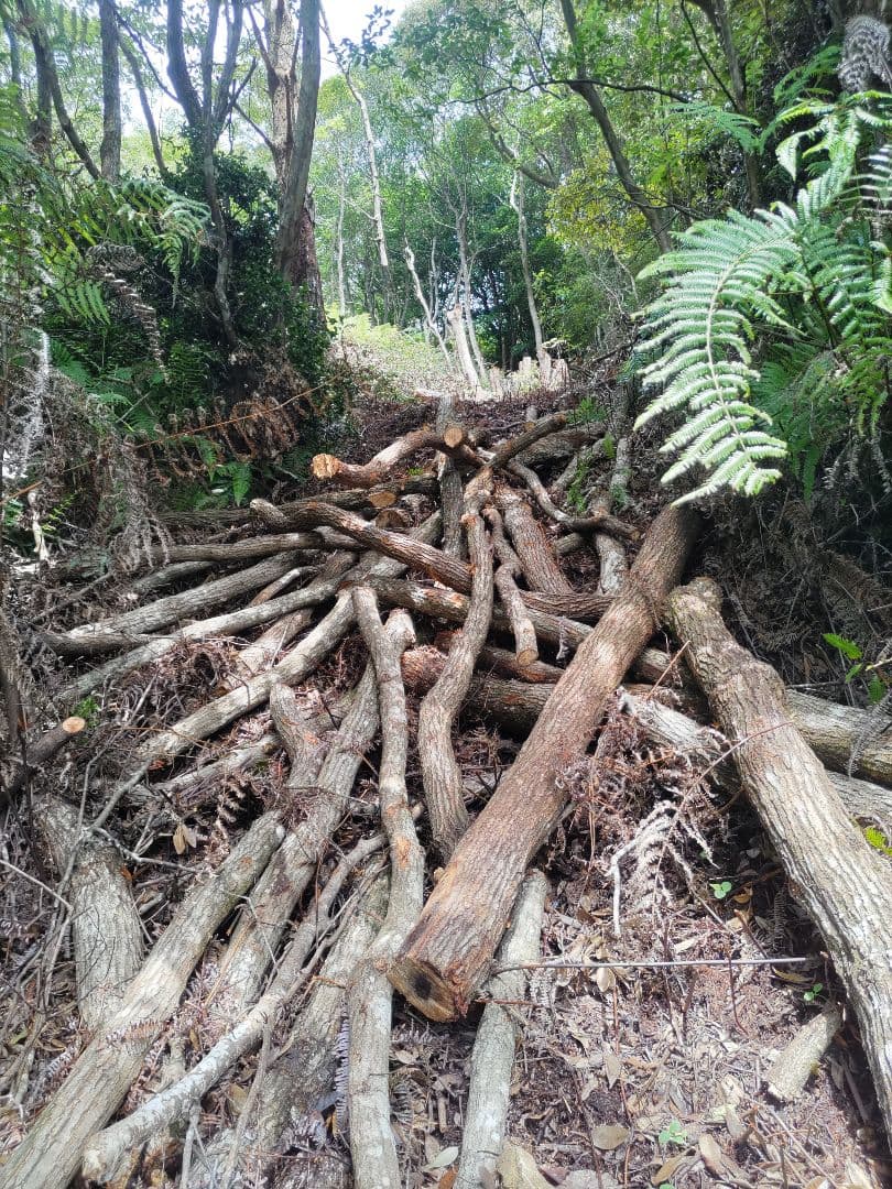 紀州備長炭11kg 七輪用