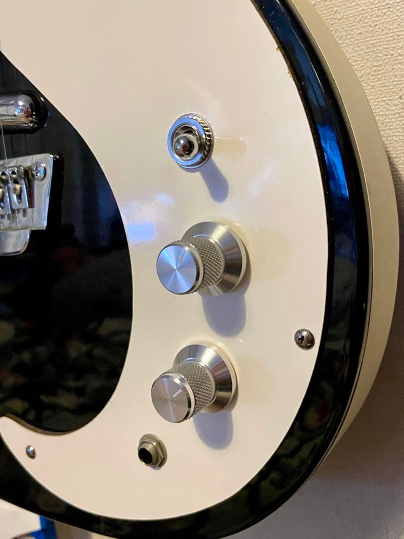 ダンエレクトロ DC59 改