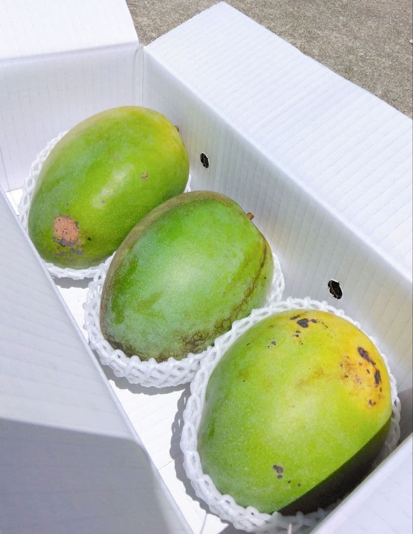 専用品沖縄県豊見城市産訳ありマンゴー約5キロ