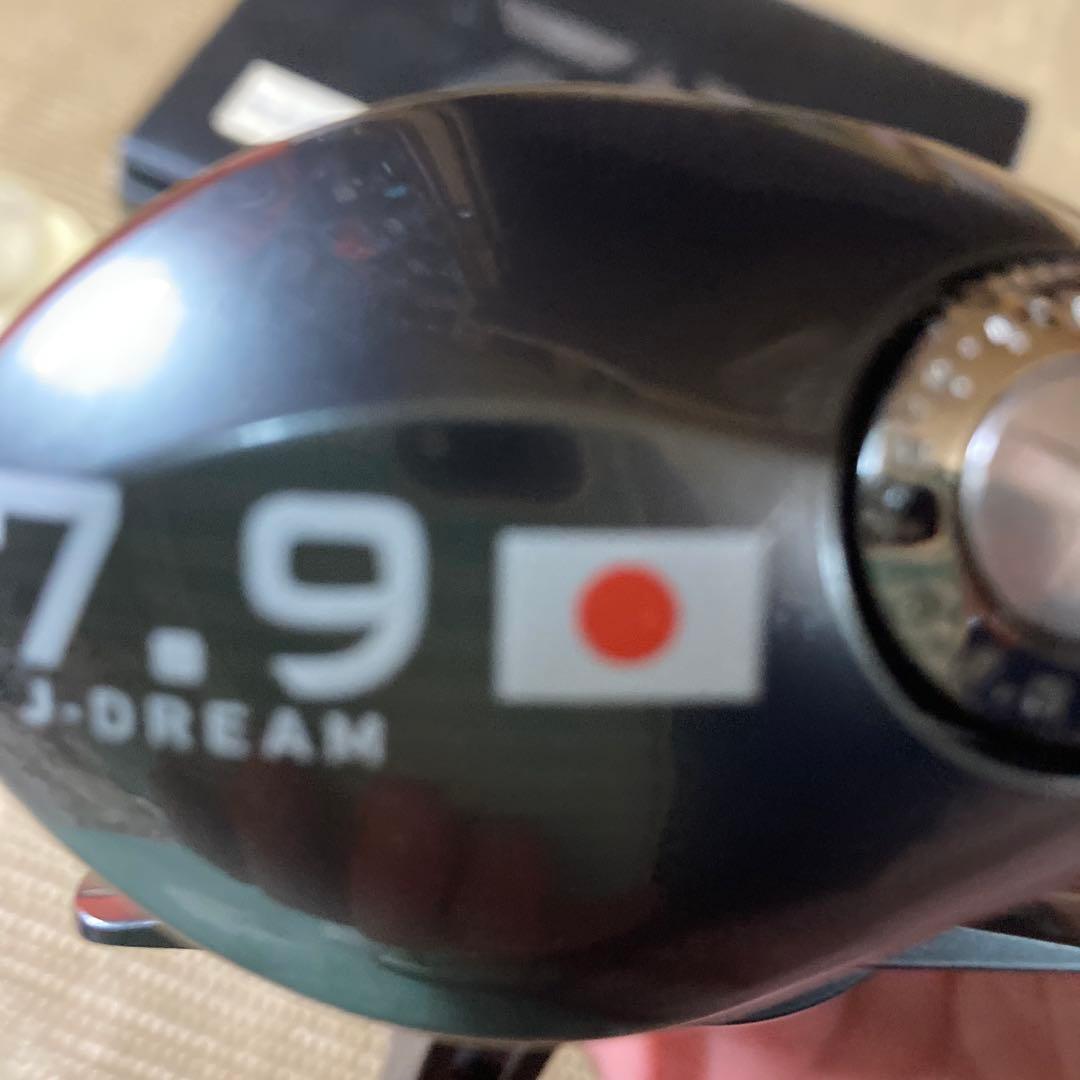 ＴＤジリオンリミテッド 7.9Ｌ　Ｊドリーム　左ハンドル