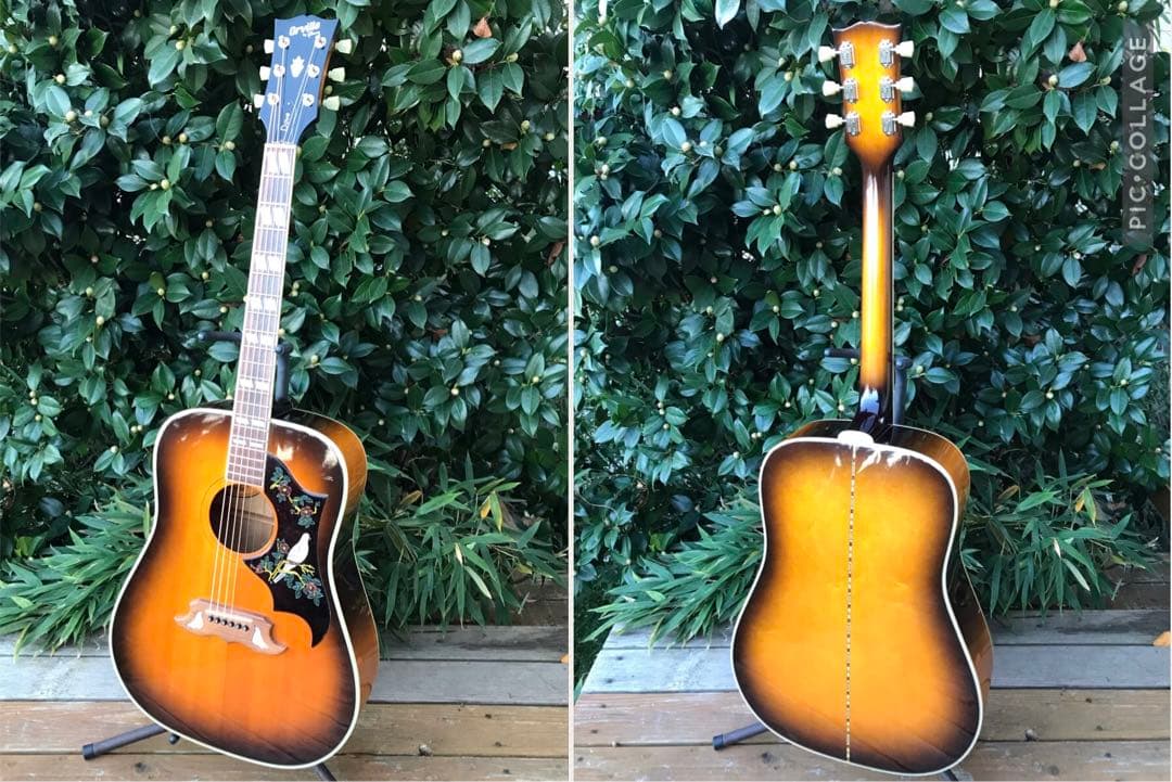 Orville by Gibson DOVE ギブソン