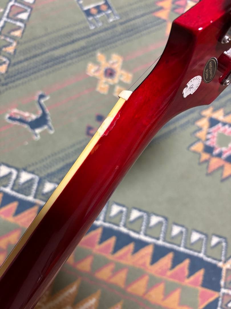 Epiphone Les Paul Standard エピフォン