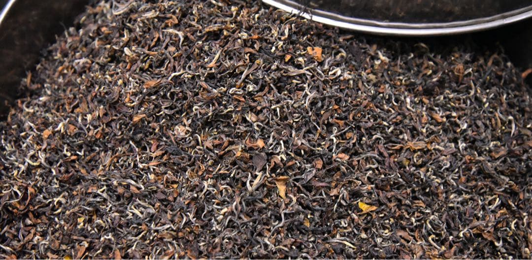 たまちゃんページ