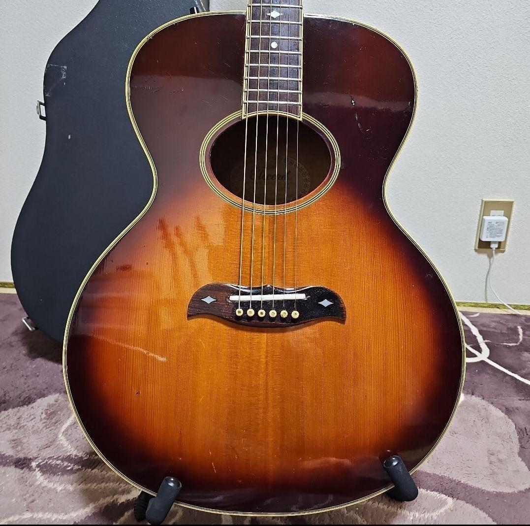 とてもレアなエレアコ★Aria.Erecord. FE-70★ハードケース付き★