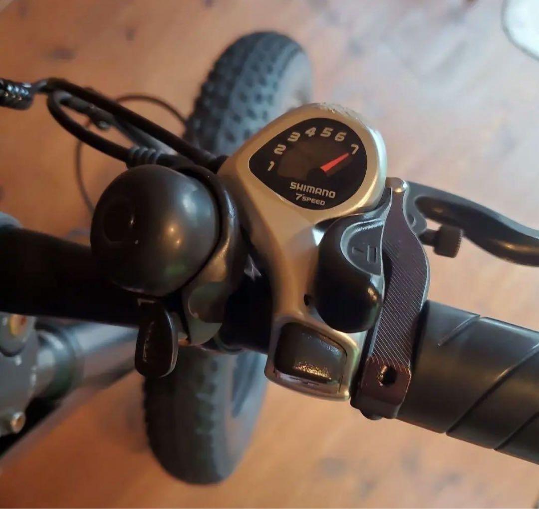 Ebike MOVE X 折りたたみ 電動バイク ファットタイヤ　オプション付き