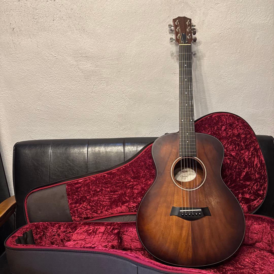 Taylor GS mini koa-e plus エアロケース付属