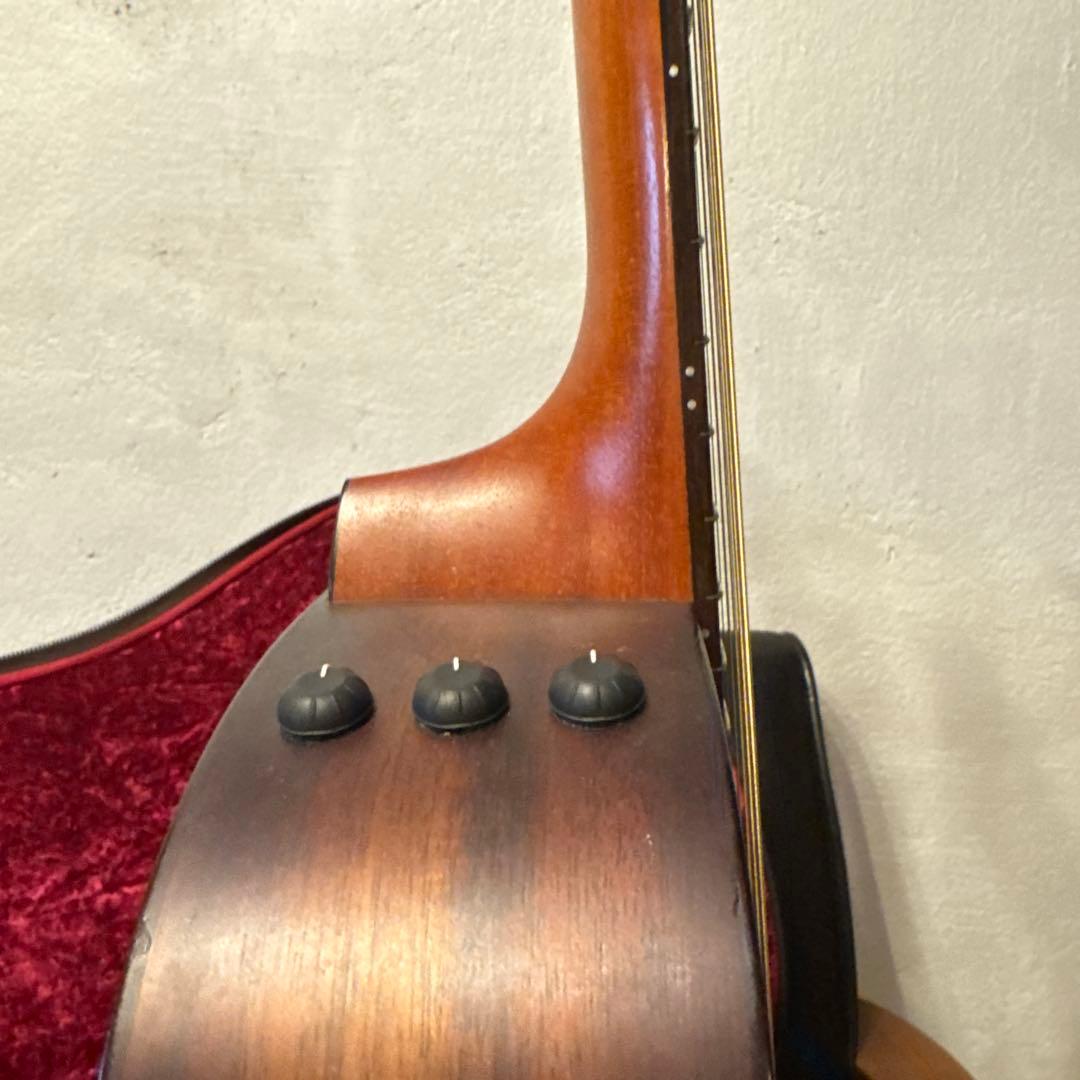 Taylor GS mini koa-e plus エアロケース付属