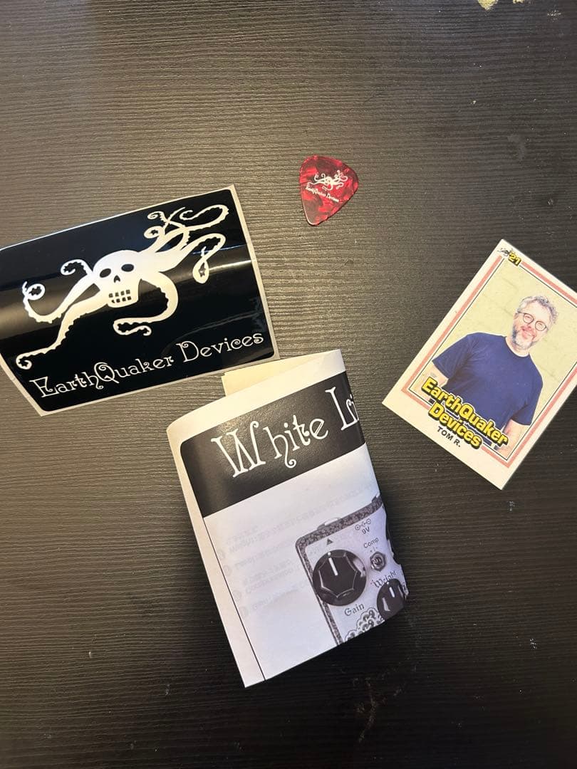 ギター EARTHQUAKER DEVICES White Light Hammered