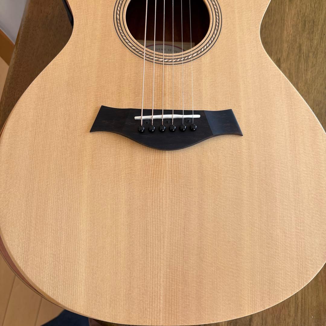 Taylor Academy 12e エレアコ