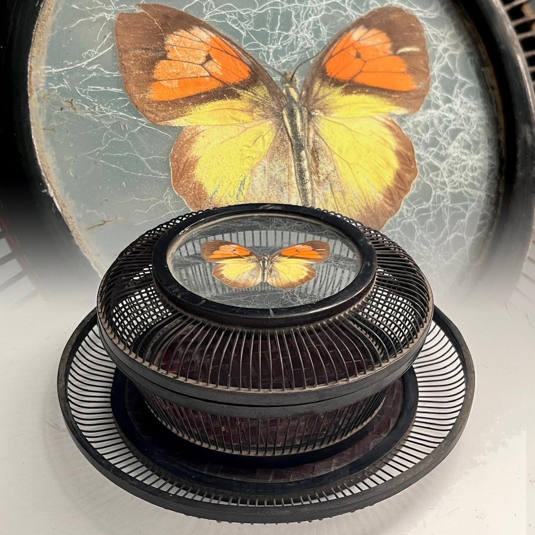 希少 蝶 駿河竹千筋細工 菓子器 明治時代 0.6㍉極小ひご竹細工家蒐集S62