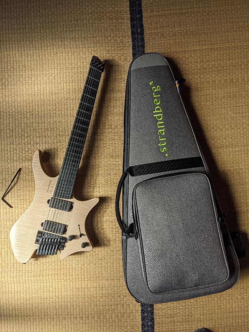 ギター Strandberg Prog 7