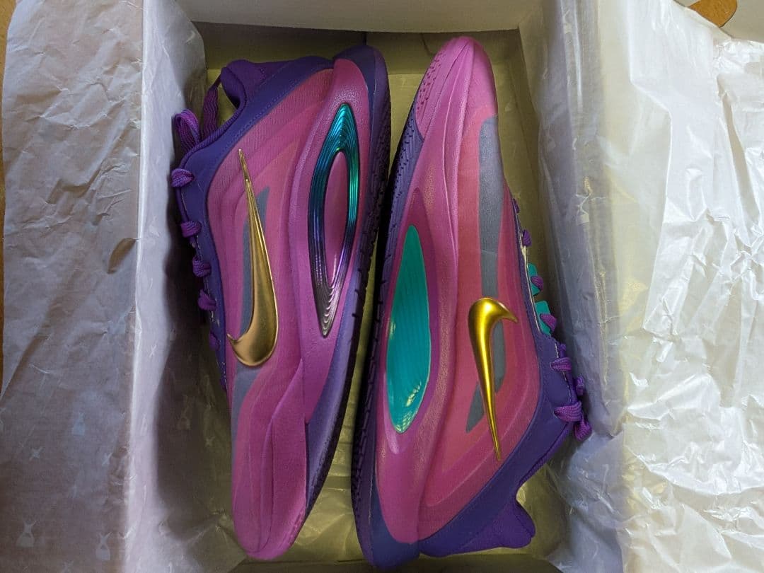 Nike Aja Wilson バスケットボールシューズ