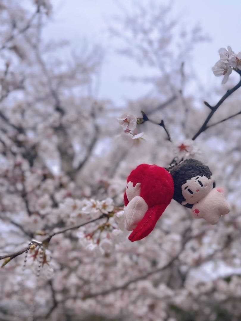 博君一肖ぬいぐるみbjyx