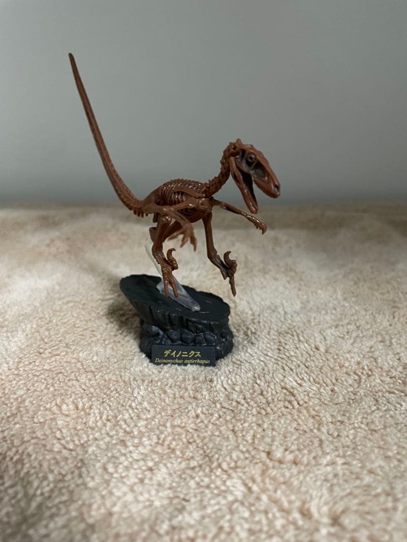 恐竜博 2019 会場限定 オフィシャルカプセルフィギュア 全5種 海洋堂