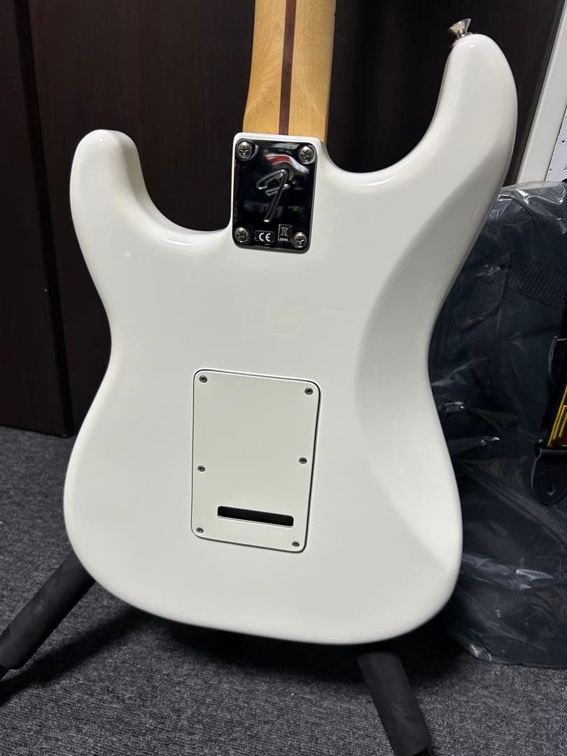 ギター FENDER Player stratocaster MN PWT