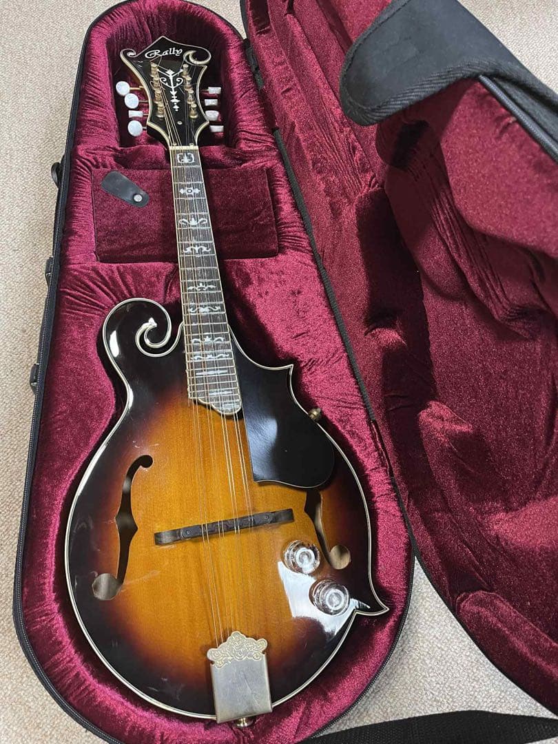 Rally ラリー エレクトリックフラットマンドリン&ハードケース