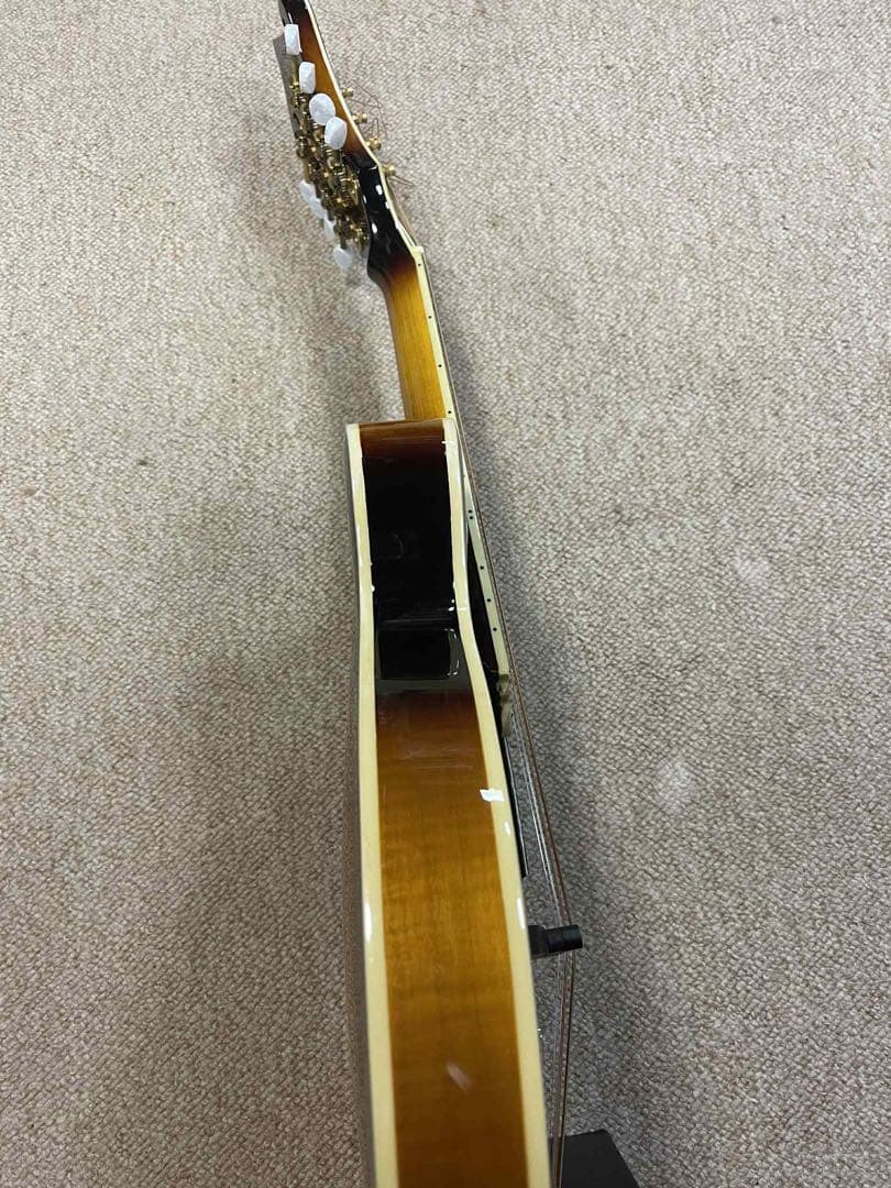 Rally ラリー エレクトリックフラットマンドリン&ハードケース