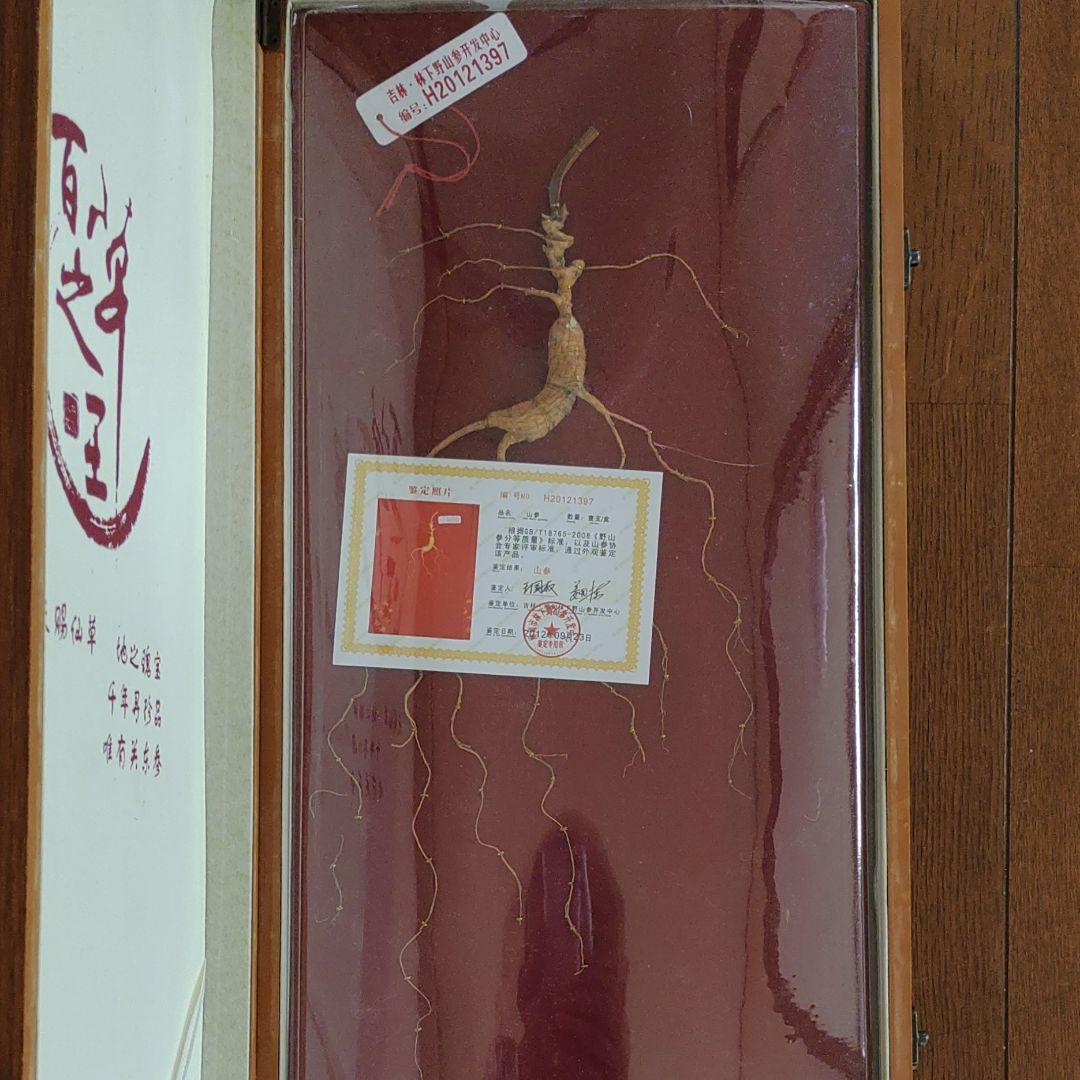 最終値下げ　希少漢方薬材貴重品　中国吉林省天然野山参高級唐木共箱付き　鑑定書付き