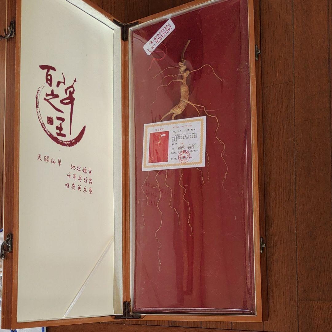 最終値下げ　希少漢方薬材貴重品　中国吉林省天然野山参高級唐木共箱付き　鑑定書付き