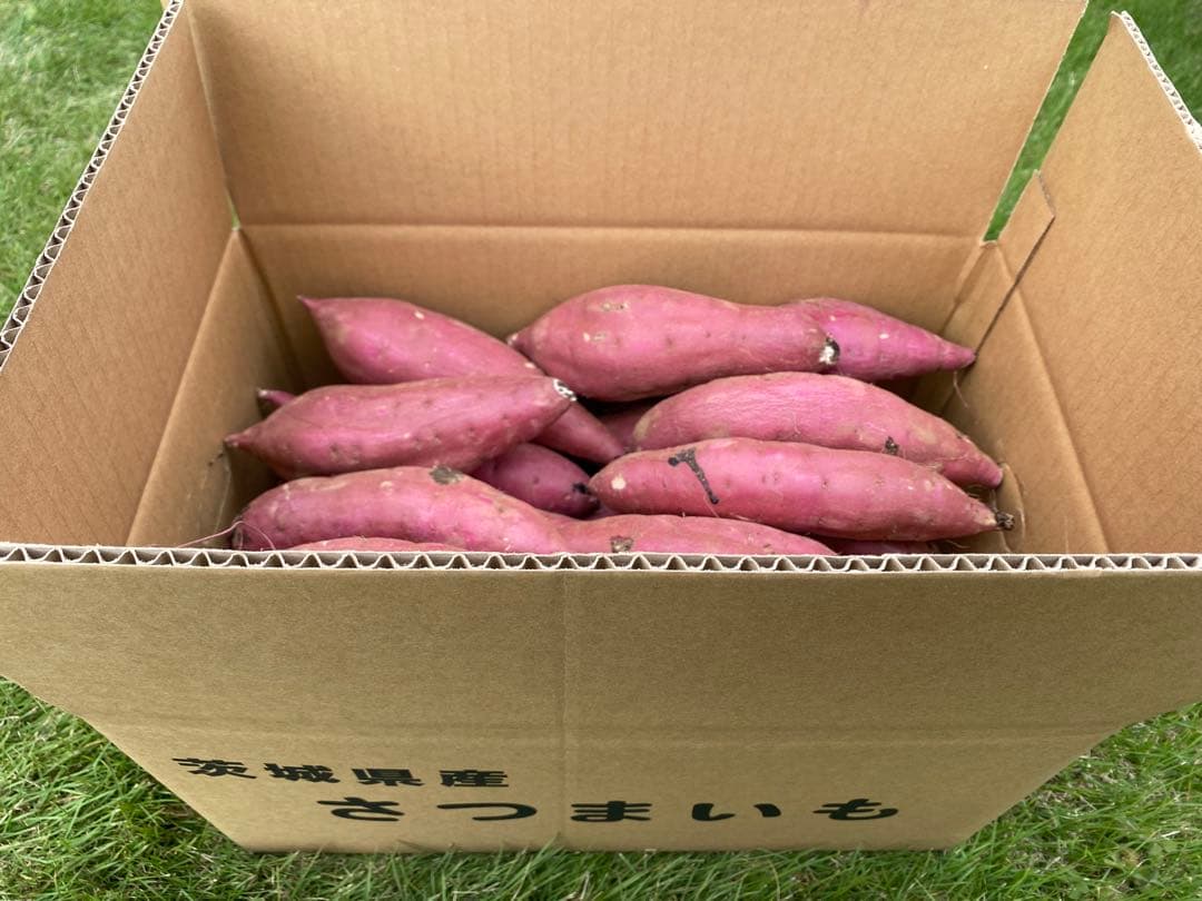 茨城県産紅はるかM80キロ　じゅん品