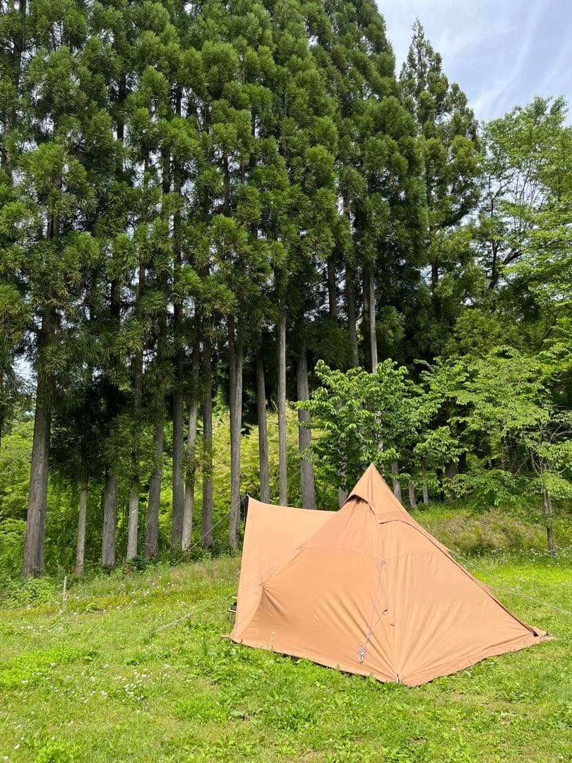 オールコットン　ワンポールテント(山善)