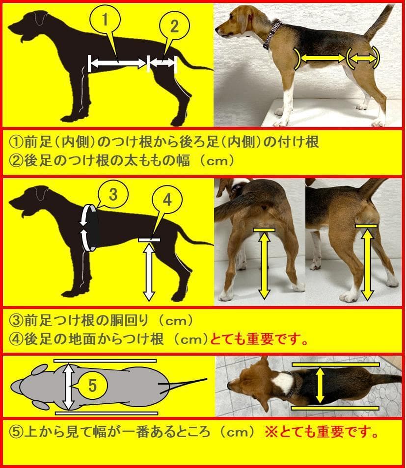 犬用車椅子、柴犬用4輪車、犬の車椅子