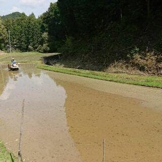 令和7年度【湧き水栽培】農薬不使用玄米　ひとめぼれ 10㎏　奈良の農家直送