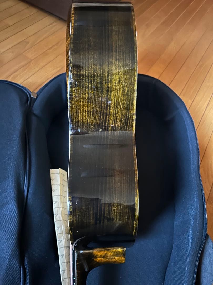 Merida WAVE アコースティックギター｜オール単板 楠木