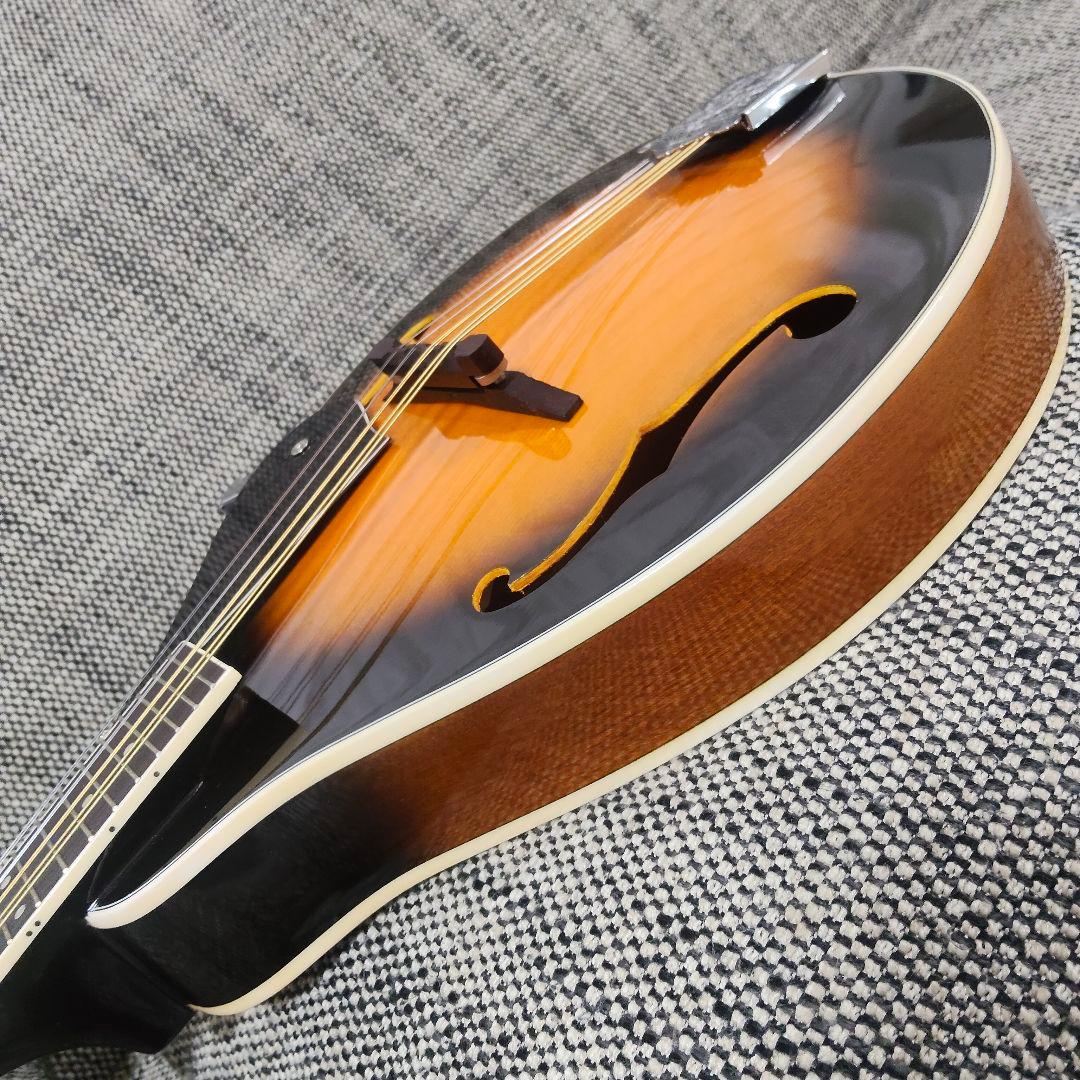 ARIA AM-20 マンドリン 8弦