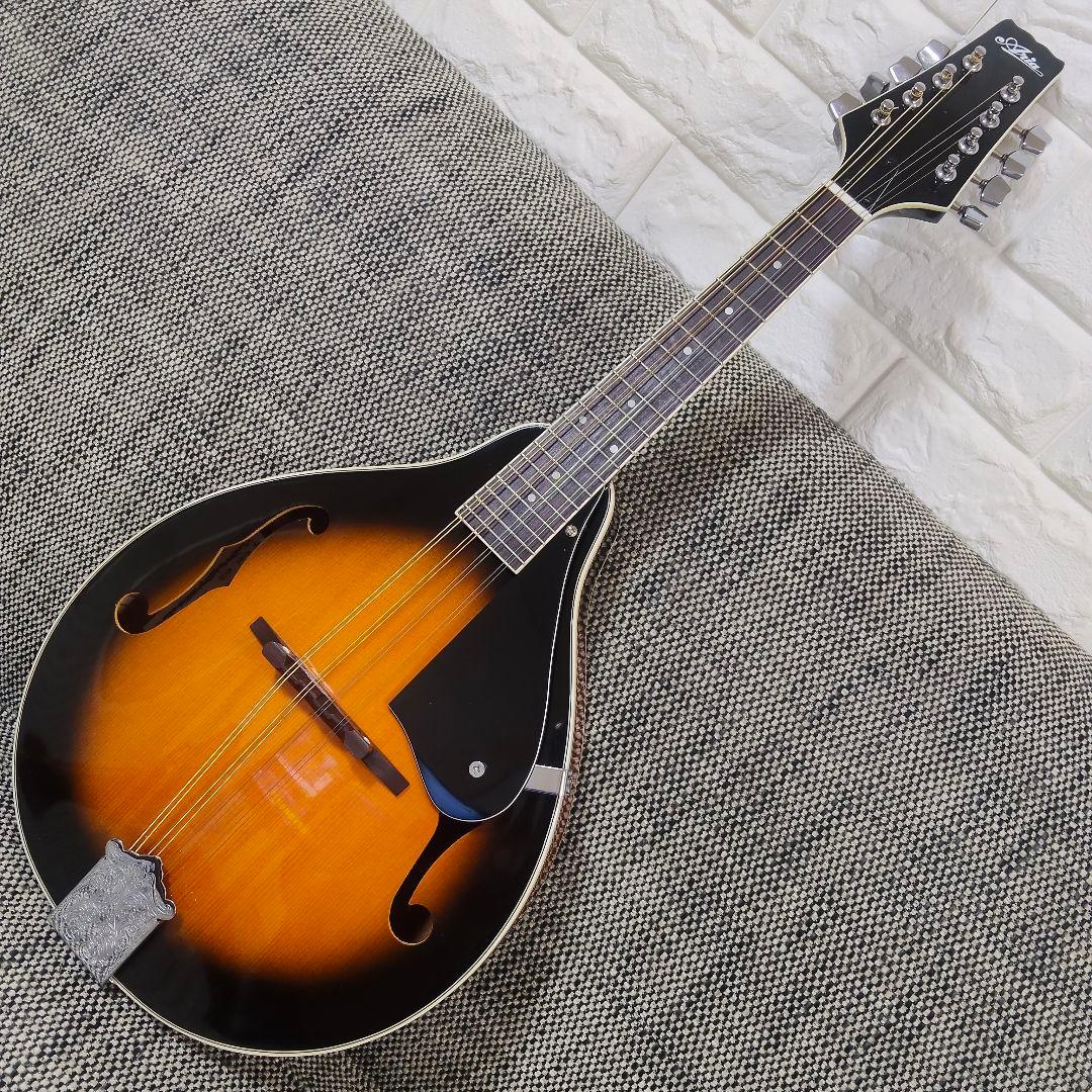 ARIA AM-20 マンドリン 8弦