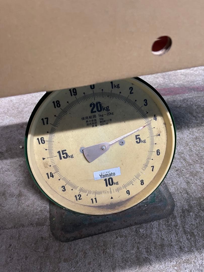 ギョドン先輩トマト