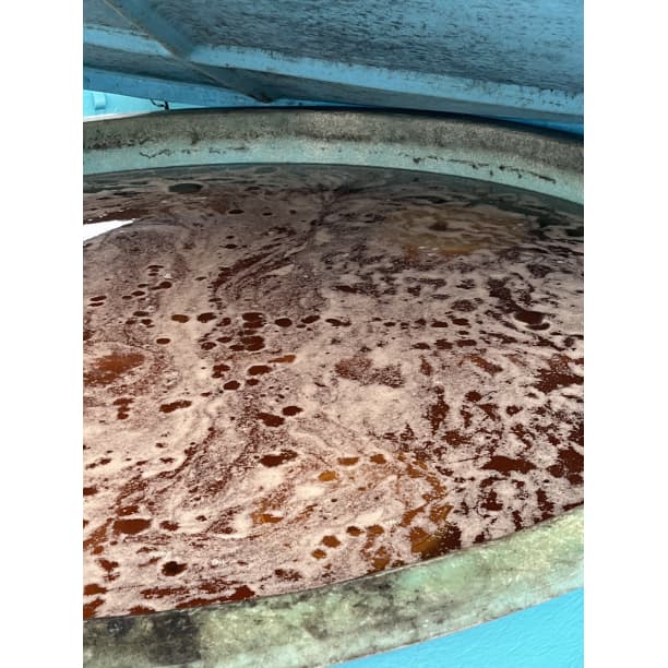 価格高騰！農家直送！紀州南高梅 樽 4000g 無添加 和歌山 紀州 白梅