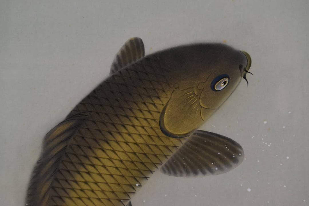 【真作】坂本宗春/跳鯉之図/鯉図/鯉滝昇図/掛軸☆宝船☆Z-953