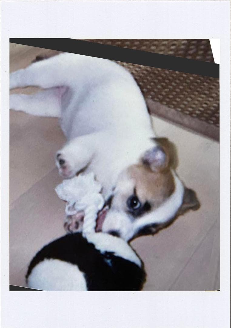 なおページです