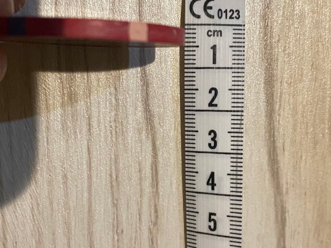 Bellagio $5 チップ　ベラージオ　カジノ　マニア　収集家　コレクター