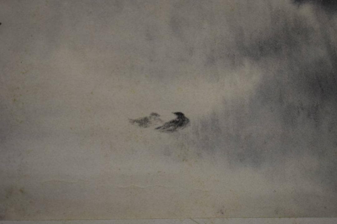 不詳/作者不詳/山水小禽図/布袋屋掛軸HJ-662