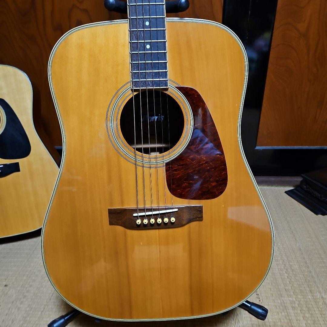 Morris アコースティックギター MD506