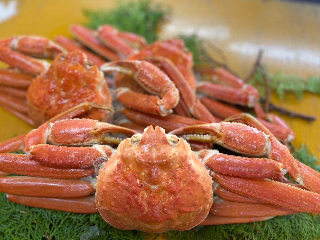 【ちゃき】冷凍ボイル　本ズワイガニ5尾/総重量3.0kg