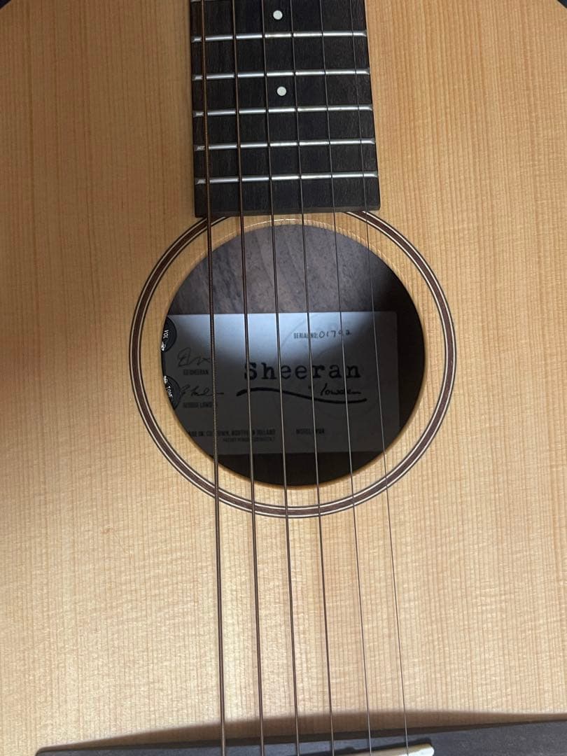 sheeran by lowdenギター　w04