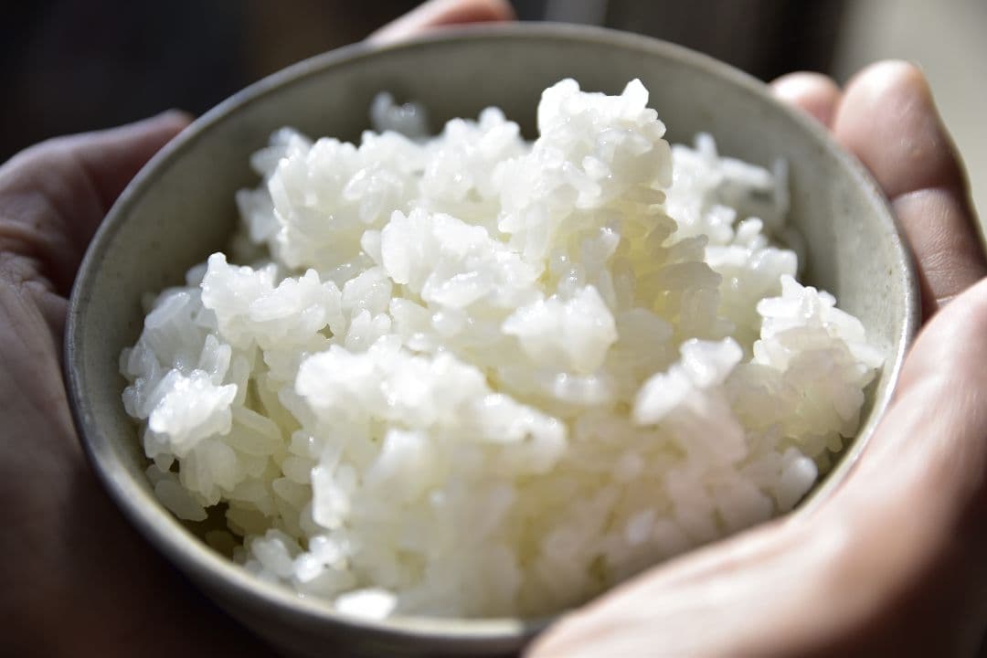 無農薬米 １０キロ佐渡産コシヒカリ