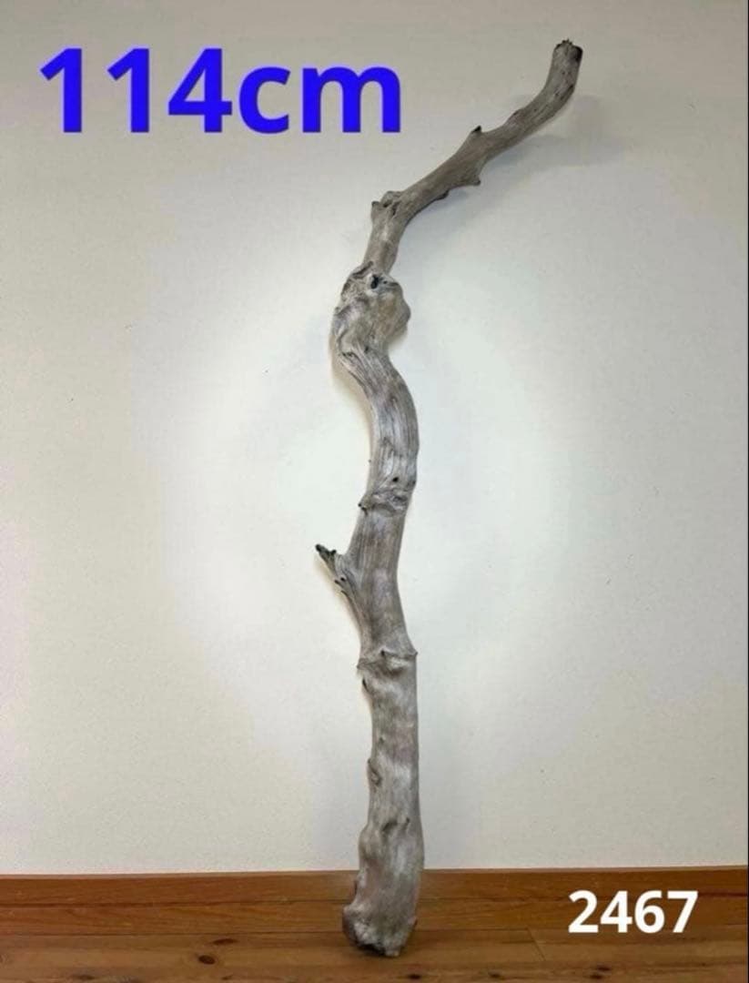 レイアウト用品 2519.1350.1502.2097.2115.2162.2355.2467