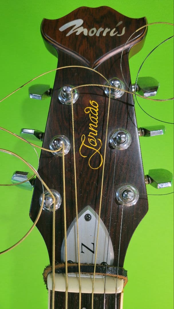 モーリス エレアコギターTornado Z動作品